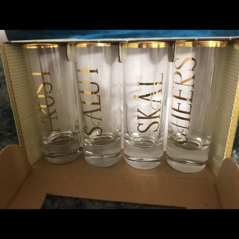 NWT Set of 4 Shot Glasses , each measure 2 fl oz
